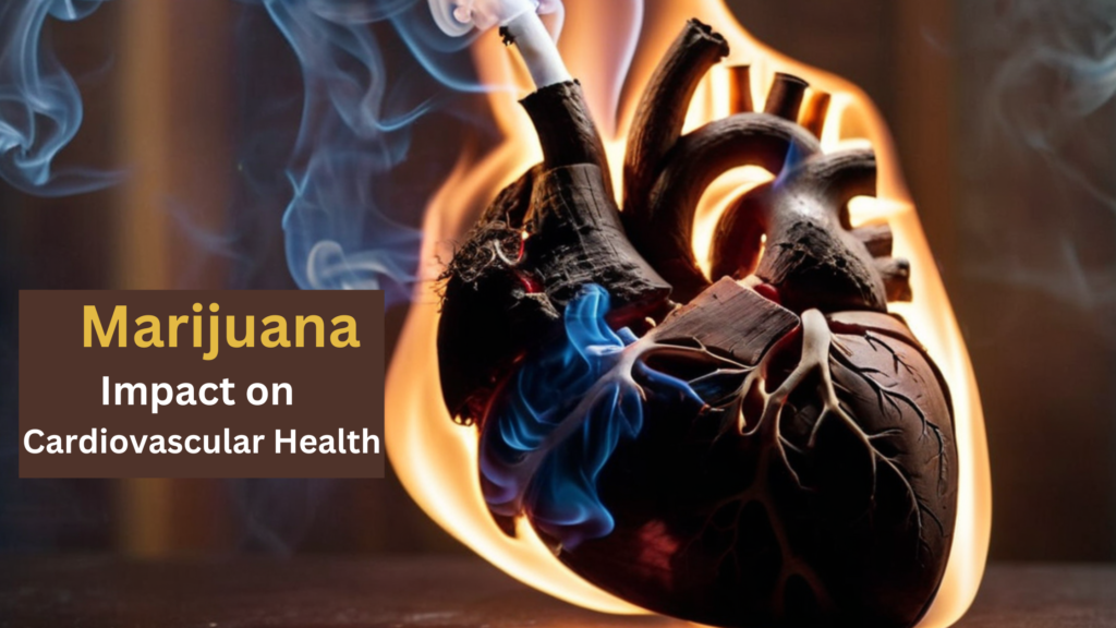 Marijuana Impact on Cardiovascular Health